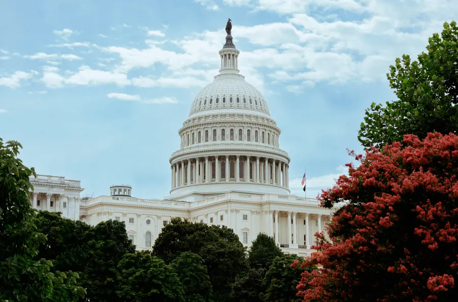 The United States Capitol in Washington, D.C., framed by trees